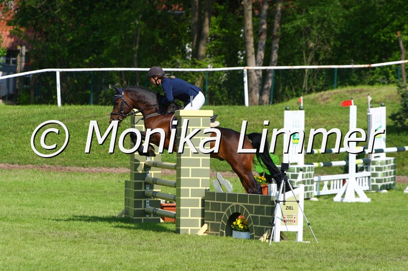 005M4059_Hartmut_Springpferde A.JPG